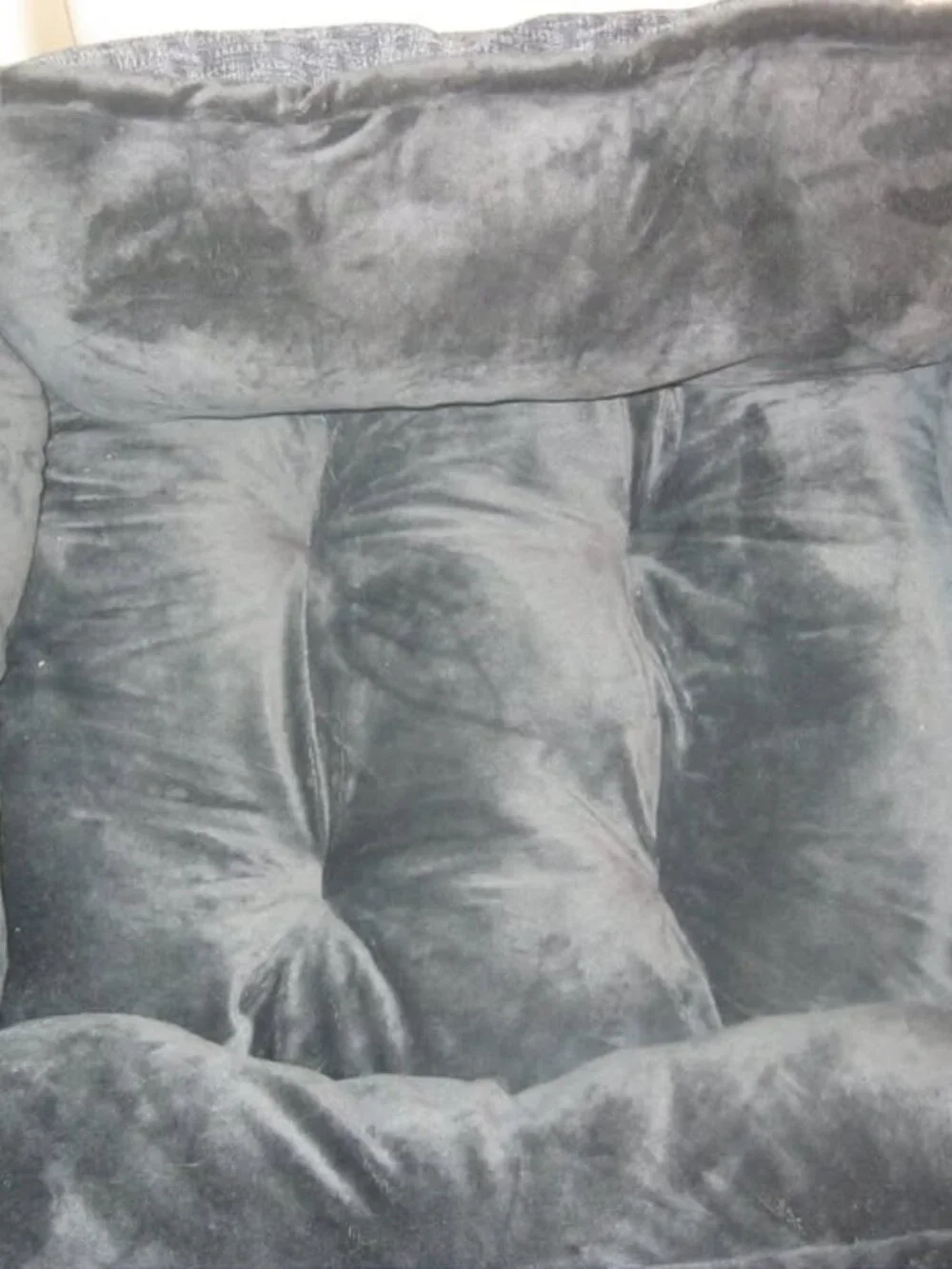 Dogs Bed Velvet Original And Very Comfy